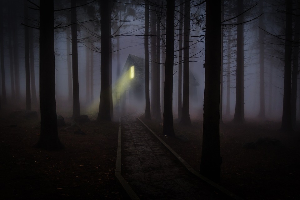 &quot;Cheap Tactical Flashlights For M&P 15-22